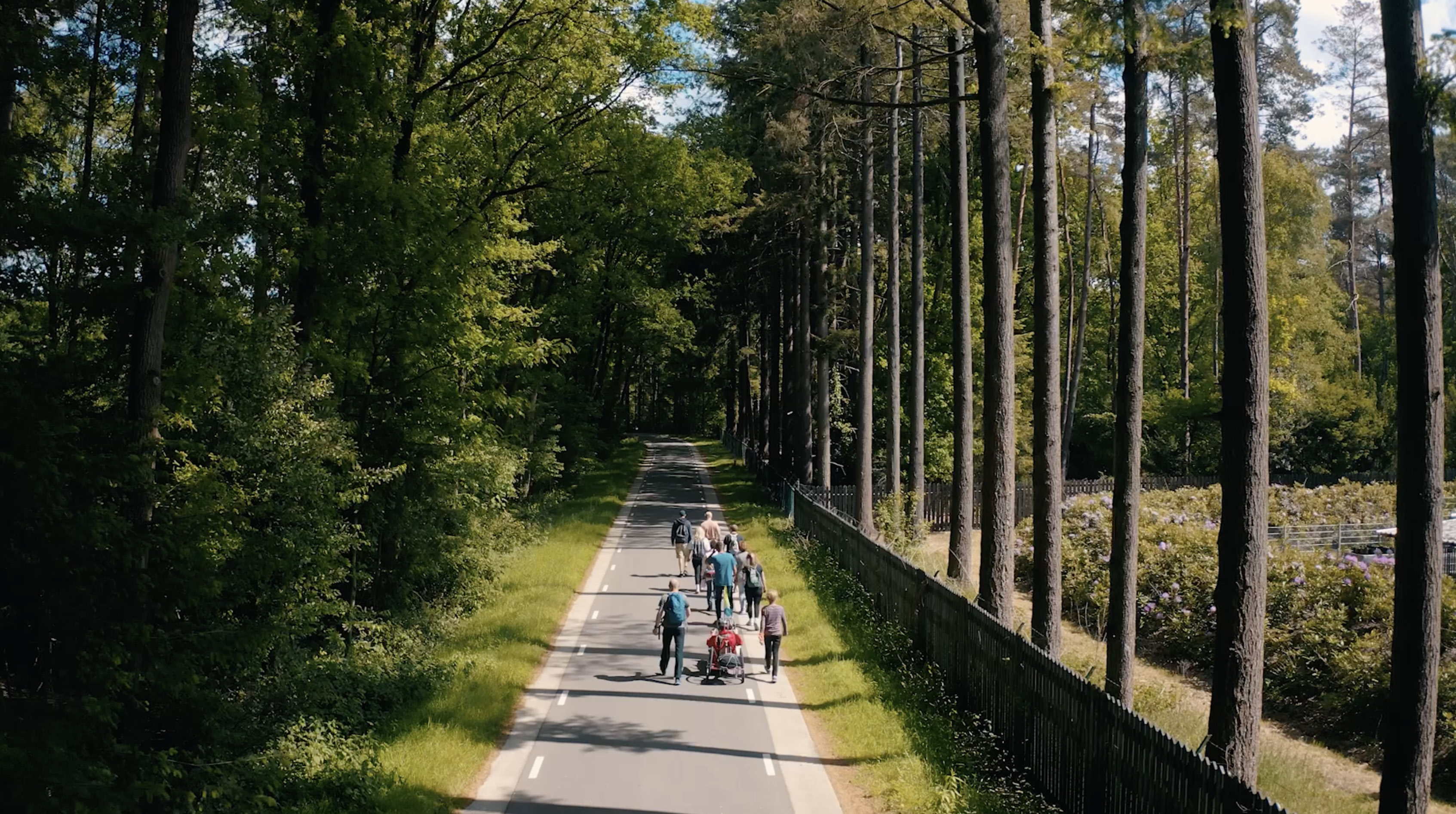 Koninklijke Weg Veluwe Bossen